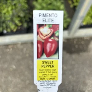 Pimento Elite Sweet Pepper Live Plants - 3-Pack, Ready to Plant - Image 2