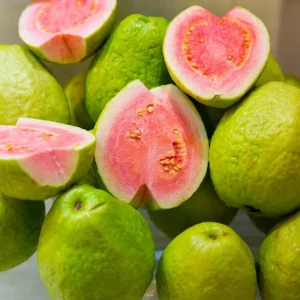 Pink Guava Live Plant – 14-18 inch Tall – 1 Gallon Pot – Tropical Fruit Tree - Image 3