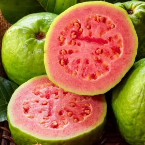 Pink Guava Live Plant – 14-18 inch Tall – 1 Gallon Pot – Tropical Fruit Tree - Image 1
