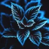 Rare Coleus Seeds Blue Black Green Foliage - 20 Pcs - Indoor/Outdoor - Image 1