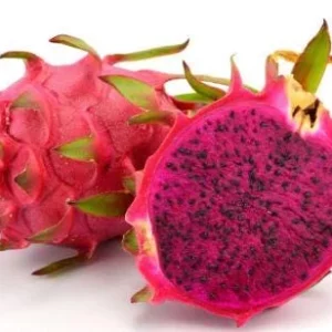 Red Dragon Fruit Live Plant – 4in Pot – Tropical Fruit Tree - Image 1