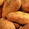 Red Sweet Potato Seeds for Planting - USDA Certified, 113g Pack - Image 1