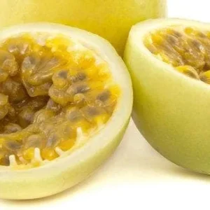Sweet Sunrise Passion Fruit Live Plant – 4-6 Inches Tall – Tropical Climbing Vine - Image 3