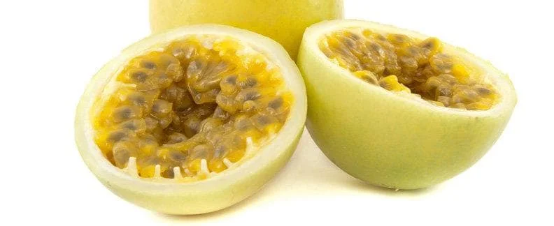 Sweet Sunrise Passion Fruit Live Plant – 4-6 Inches Tall – Tropical Climbing Vine - Image 3
