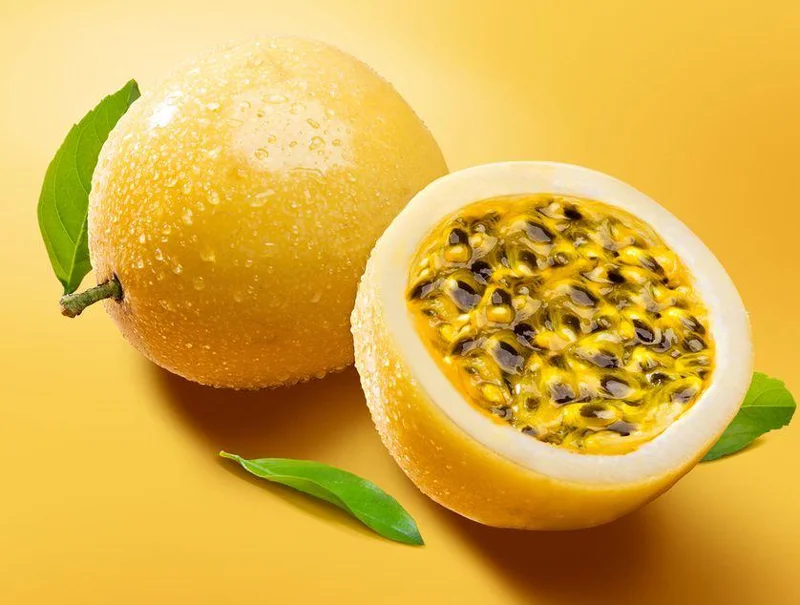 Sweet Sunrise Passion Fruit Live Plant – 4-6 Inches Tall – Tropical Climbing Vine - Image 1