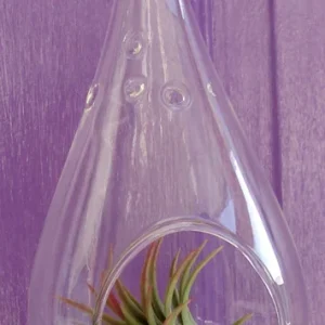 Tear Drop Orb Hanging Air plant Planter kit 5 inches TD105 - Image 2