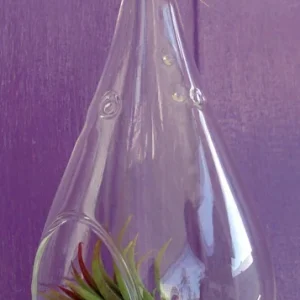 Tear Drop Orb Hanging Air plant Planter kit 5 inches TD105 - Image 4