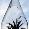Tear Drop Orb Hanging Air plant Planter kit 5 inches TD105 - Image 1
