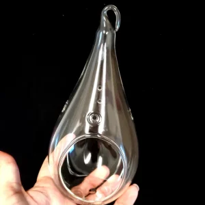 Teardrop Glass Terrarium Kit - Set of 2 with 4 Live Air Plants, Decor - Image 4
