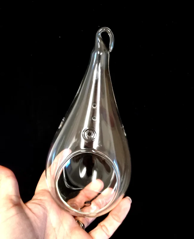 Teardrop Glass Terrarium Kit - Set of 2 with 4 Live Air Plants, Decor - Image 4