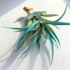 Turquoise Air Plant Tillandsia Live Plant – Unique Terrarium Decor – 4-6 inches - Image 1