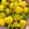 Yellow Jelly Bean Fire Super Hot Chili Live Plants - 3 Pack, 4-8 inches, Outdoor - Image 1