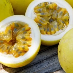 Yellow Passion Fruit Live Plant – 4 inch Pot – Tropical Edible Vine - Image 2