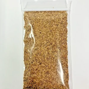 Zenith Zoysia Grass Seeds - Warm Season Perennial Lawn Seed - 12,000+ Seeds, 1 oz - Image 1