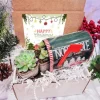2" Live Succulent Gift Box in Tin Mailbox - Christmas Present - Image 1