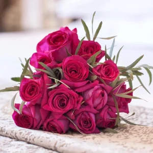 Belles Rives Rose Live Plant - Crimson Red, Fragrant, Repeat Blooming Garden Shrub - Image 2