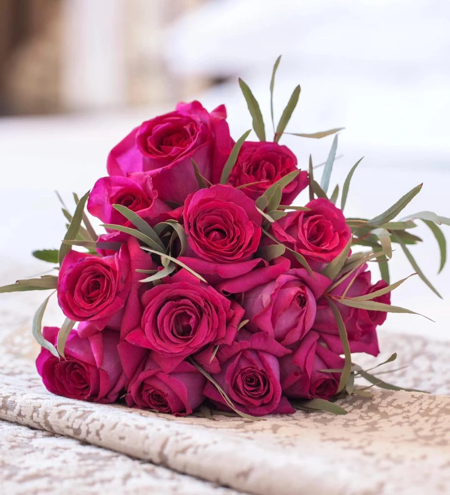 Belles Rives Rose Live Plant - Crimson Red, Fragrant, Repeat Blooming Garden Shrub - Image 2