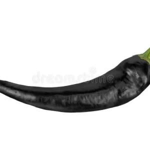 Black Cobra Chili Live Plant - Capsicum Annuum, 4