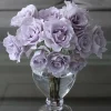 Blue Vague Rose Live Plant - Light Purple Double Petal Flowers, 120 cm Tall - Image 1