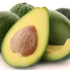 Catalina Avocado Live Plant - Grafted 3 Gallon Tree - Image 1