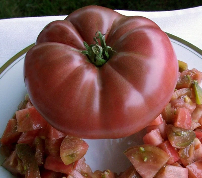 Cherokee Purple Heirloom Tomato Live Plant - Organically Grown Starter, 2.5"x3.5" Pot - Image 2