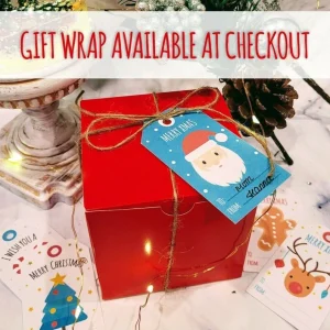 Christmas Cactus Succulent Arrangement - Live Plant Gift Box - 2 inch Pot - Image 3
