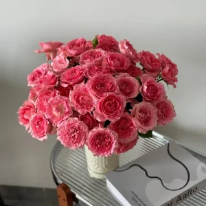 Corail Gelee Rose Live Plant - Fragrant, Heat & Disease Resistant Coral Blooms - Image 4