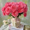 Corail Gelee Rose Live Plant - Fragrant, Heat & Disease Resistant Coral Blooms - Image 1