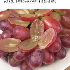 Crimson Seedless Grape Vine Bare Root Plant - Delicious Red Grapes - Image 6