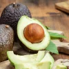 Dwarf Utuado Avocado Tree - Grafted Live Plant, 3 Gallon Pot - Image 1