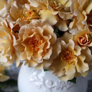 Eventail d'Or Rose Live Plant - Unique Tea/Coffee Color, 8 cm Blooms - Image 3