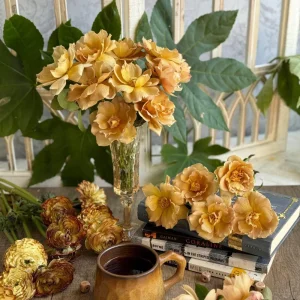 Eventail d'Or Rose Live Plant - Unique Tea/Coffee Color, 8 cm Blooms - Image 5