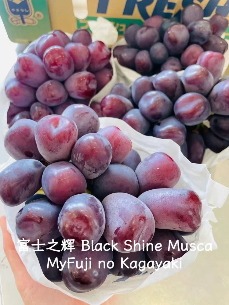 Grafted Grape Vine Live Plant – Sweet Fruit Seedling for Backyard Garden - Image 6