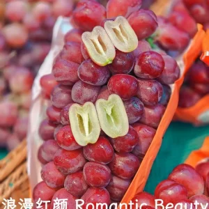 Grafted Grape Vine Live Plant – Sweet Fruit Seedling for Backyard Garden - Image 7
