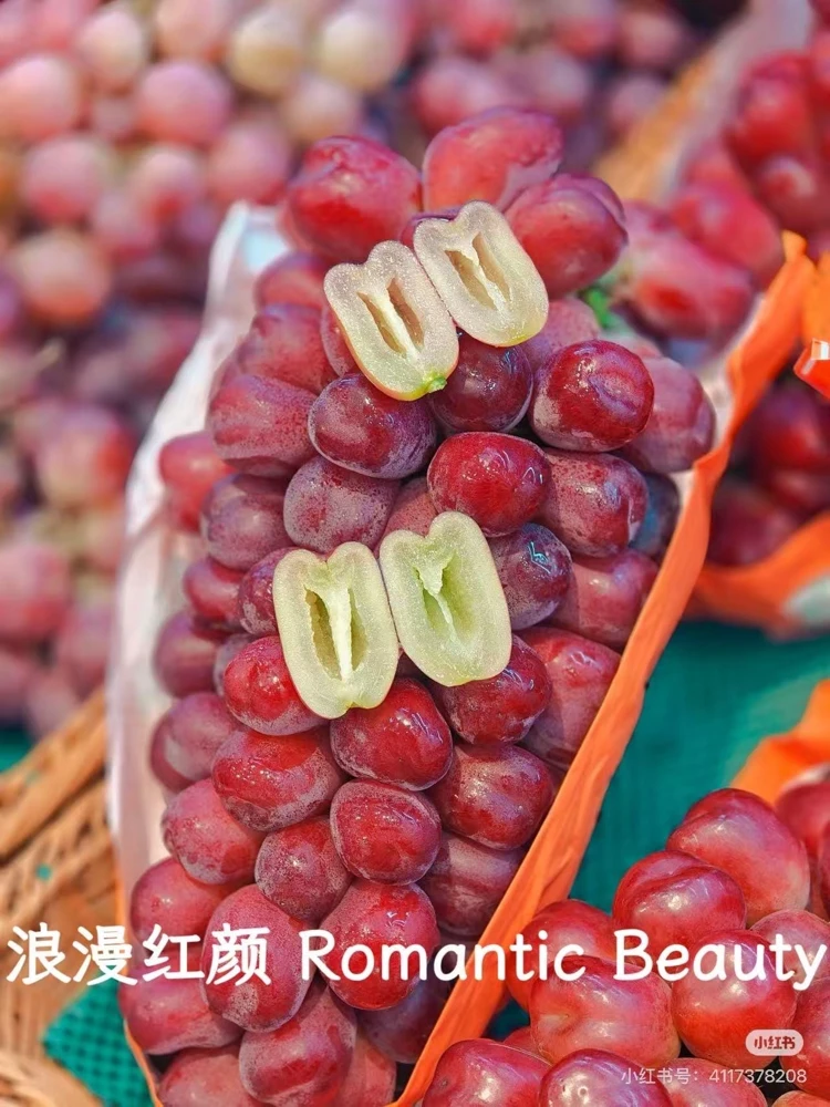 Grafted Grape Vine Live Plant – Sweet Fruit Seedling for Backyard Garden - Image 7