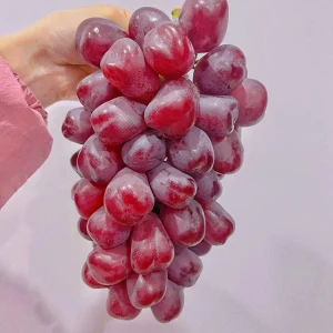Grafted Romantic Beauty Grape Vine Tree - Red Seedless Bare Root Live Plant - Image 5