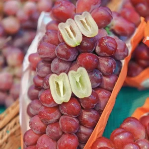 Grafted Romantic Beauty Grape Vine Tree - Red Seedless Bare Root Live Plant - Image 1