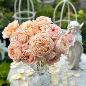 Großherzogin Luise Rose Live Plant – Yellow Hybrid Tea Rose – Fragrant Outdoor - Image 5