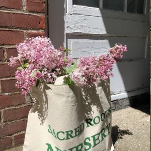 Heavy Canvas Tote Bag - Garden & Everyday Use - 20