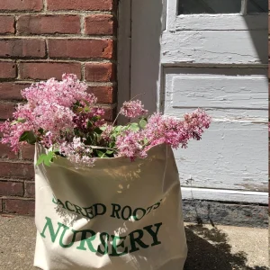 Heavy Canvas Tote Bag - Garden & Everyday Use - 20