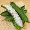 Ice Cream Bean Live Tree - 3 Gallon - Tropical Edible Fruit Plant - Image 1