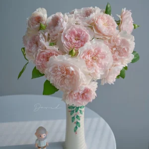 Jia Shu Rose Live Plant - Pink White Bi-Color, Repeat Blooming, Fragrant, 80-120 cm - Image 3