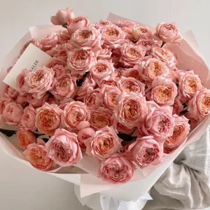 Julieta Rose Live Plant - Fragrant Pink Double Bloom, 8-10 cm Flowers, Outdoor - Image 6