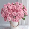 Julieta Rose Live Plant - Fragrant Pink Double Bloom, 8-10 cm Flowers, Outdoor - Image 1