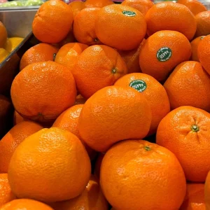 Mandarin Seedling Live Plant – 5-12 inch Tall Citrus Tree – Grown from Seed - Image 2