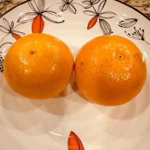 Mandarin Seedling Live Plant – 5-12 inch Tall Citrus Tree – Grown from Seed - Image 3