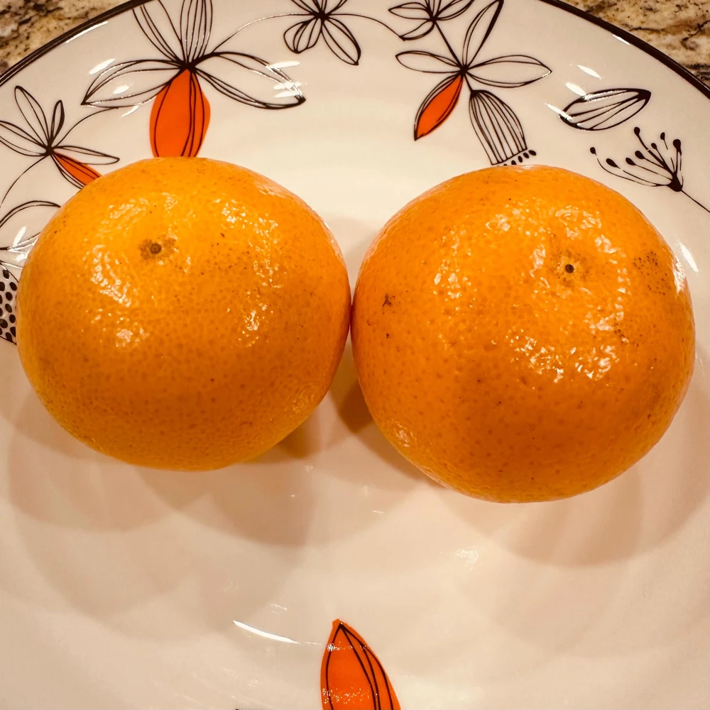 Mandarin Seedling Live Plant – 5-12 inch Tall Citrus Tree – Grown from Seed - Image 3