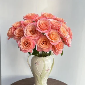Miss Piggy Rose Live Plant – Yellow Pink Fragrant Cut Flower Rose - Image 2