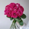 Monica Bellucci Rose Live Plant - Bi-Color Hybrid Tea Rose - Fragrant Red & White Blooms - Image 1
