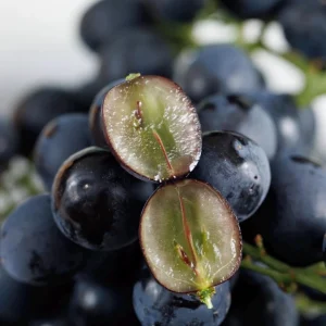 Muscat Hamburg Grape Vine Tree - Bare Root Plant for Sweet Black Grapes - Image 2